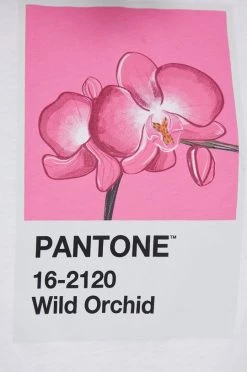 Γυναικεία Κοντομάνικο Βαμβακερό μπλουζάκι United Colors Of Benetton άσπρο -United Colors of Benetton Κατάστημα unnamed file 2223